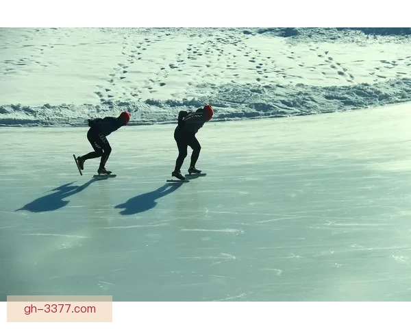 冰球现有规则演变与发展：挑战与趋势