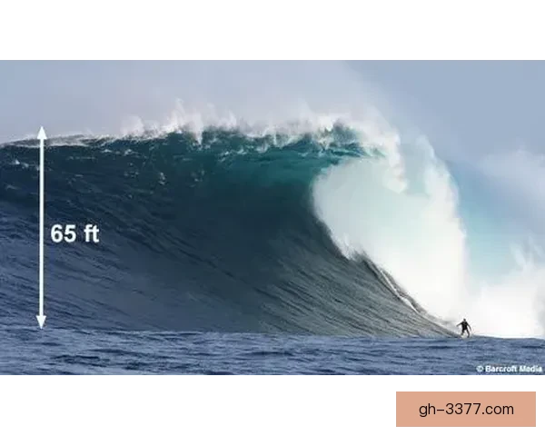 冲浪世界纪录之最:挑战浪尖,超越极限,探寻无尽可能 冲浪世界纪录之最:挑战浪尖,超越极限,探寻无尽可能