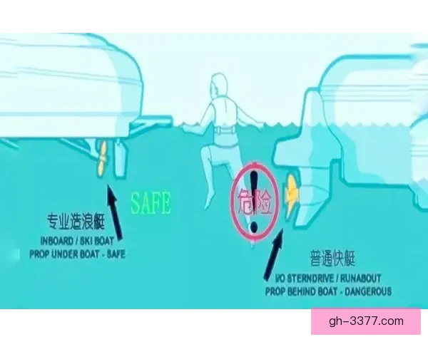 冲浪投注技巧解析及应用指南