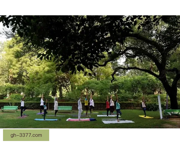 国际瑜伽赛事盛况：健康与平衡共振，精彩继续！