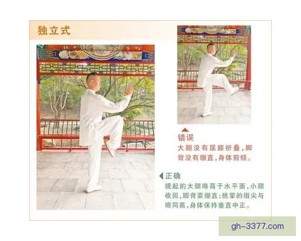 初学者健身入门指南