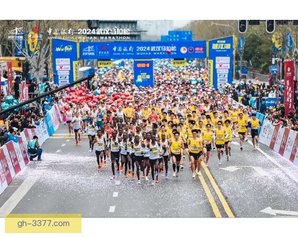 如何提高马拉松投注的成功率？