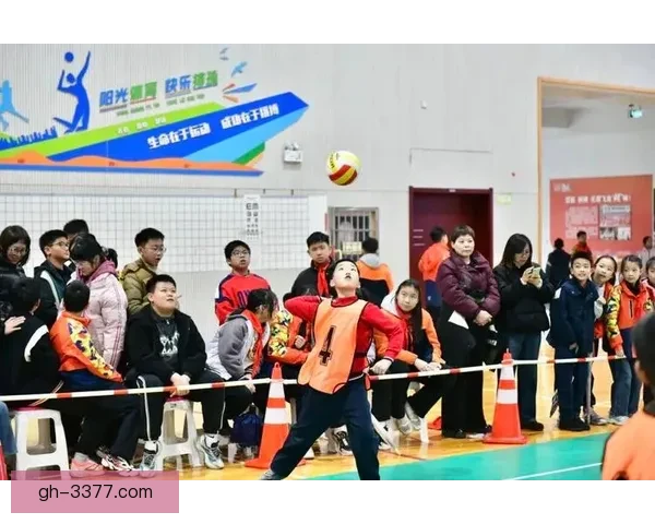 学习排球技巧，提高比赛水平