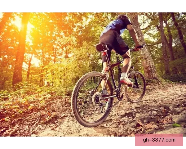 山地车数据分析:探索骑行趋势与用户偏好 山地车数据分析:探索骑行趋势与用户偏好