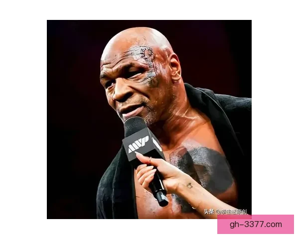 拳击数据分析：揭秘拳手战绩背后的数字密码