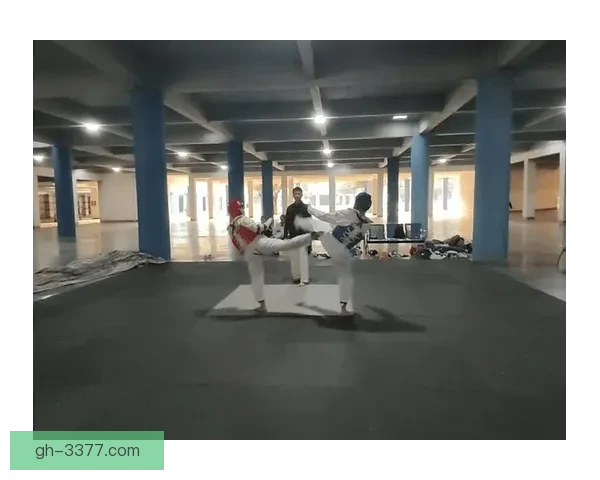 招式精粹，循序渐进：跆拳道训练方法探究