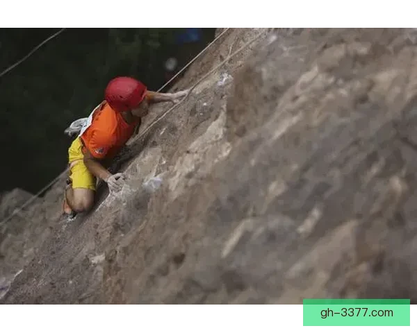 攀岩公开赛：挑战巅峰，征服高空