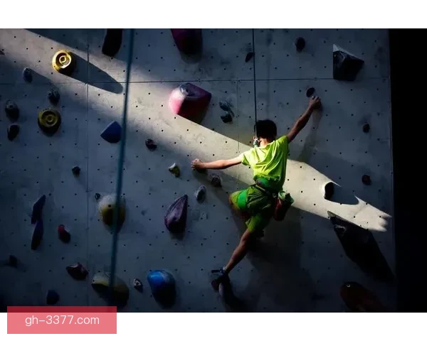 攀岩杯赛：挑战极限，展示风采