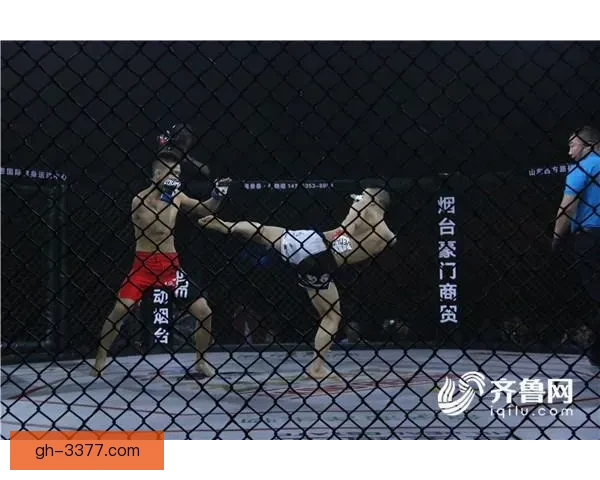 搏击精英对决：刺剑风云盛宴