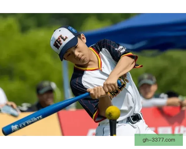 棒球赛场上的辉煌时刻：冠军之路