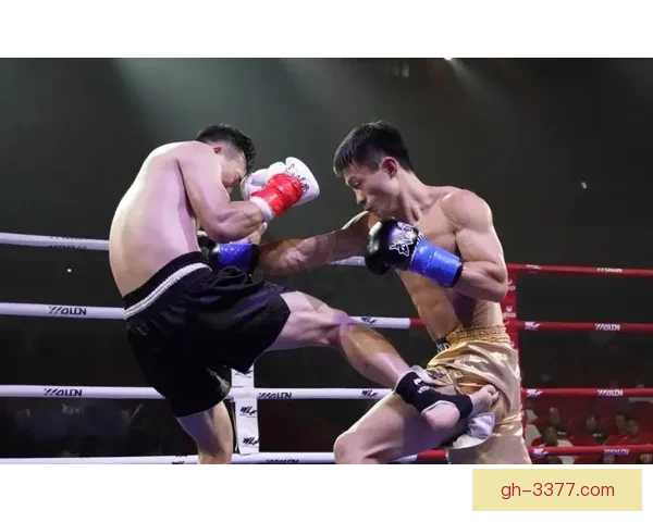 棒球世界纪录大揭秘：击球王、投手之神、传奇纪录全揭秘