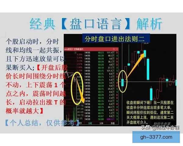 深入探讨跆拳道盘口分析的关键因素